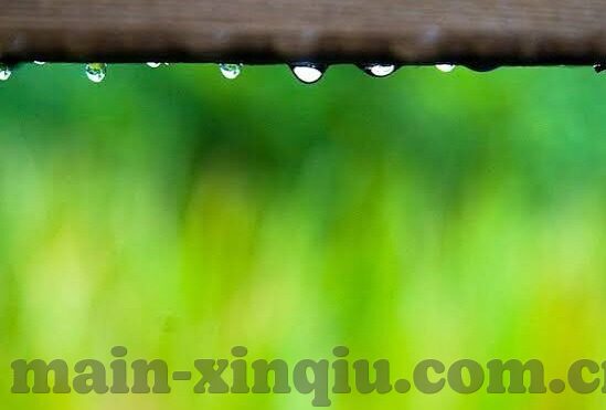 大赢家足球比分直播中-深度剖析，大赢家足球比分直播——球迷的实时盛宴与战术洞察窗口