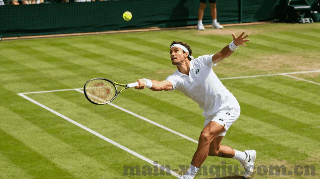 乐鱼体育app下载网址-乐鱼体育APP下载网址，探索移动体育娱乐的新体验